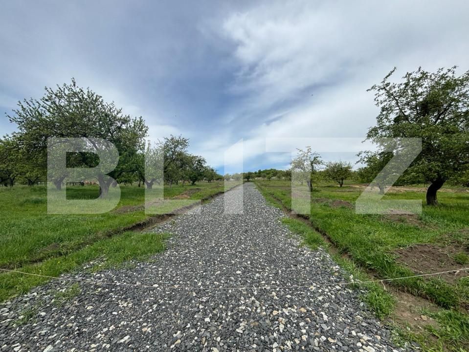 Teren de vânzare Viișoara - 139685TV | BLITZ Bistriţa | Poza2