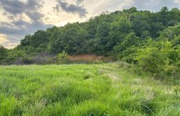 Teren Intravilan, 800mp, zona Crainimat