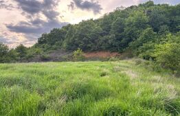 Teren Intravilan, 800mp, zona Crainimat