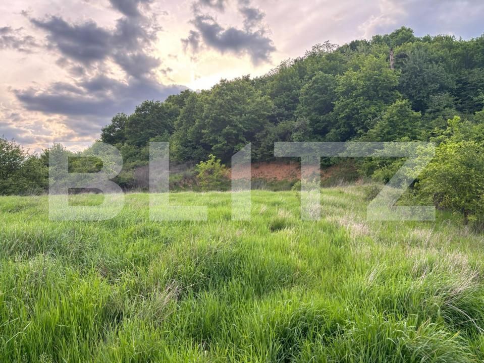 Teren de vânzare Exterior Sud - 139686TV | BLITZ Bistriţa | Poza1