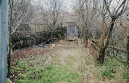 Casa de vanzare 260mp utili, 17 ari teren si 160mp anexe! 