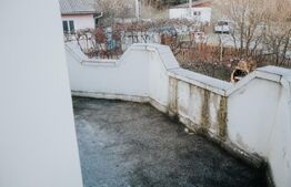 Casa de vanzare 260mp utili, 17 ari teren si 160mp anexe! 