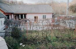 Casa de vanzare 260mp utili, 17 ari teren si 160mp anexe! 