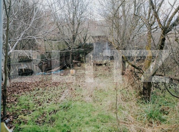 Casa de vânzare 5 camere Viișoara - 140790CV | BLITZ Bistriţa | Poza15