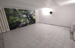 Apartament la casa, 70mp,parter+curte+parcare,ultracentral,ideal investitie