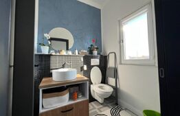 Casa moderna, 145mp - Unirea