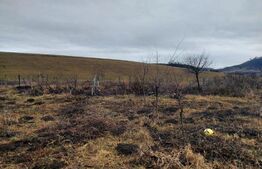 Casă 6 camere, 200mp, 4800mp teren, Galații Bistriței