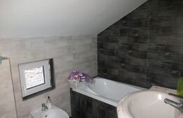 Casă 6 camere, 200mp, 4800mp teren, Galații Bistriței