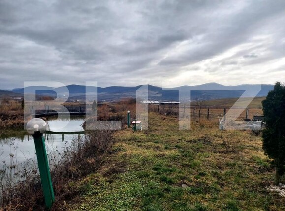 Casa de vânzare 5 camere Vest - 143246CV | BLITZ Bistriţa | Poza11