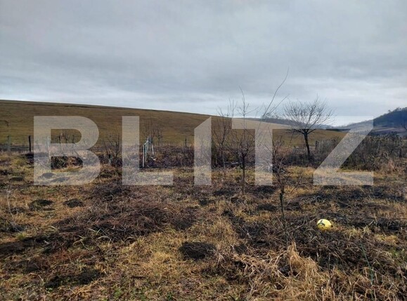 Casa de vânzare 5 camere Vest - 143246CV | BLITZ Bistriţa | Poza3