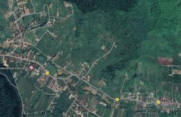 Teren Extravilan, 4300 mp, zona Valea Ghinzii