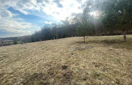 Teren Extravilan, 2526 mp, zona Slatinitei