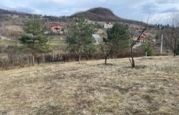 Teren Extravilan, 2526 mp, zona Slatinitei