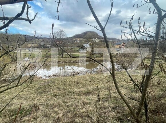 Teren de vânzare Exterior Nord - 143542TV | BLITZ Bistriţa | Poza7