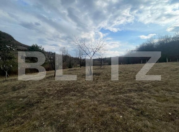 Teren de vânzare Exterior Nord - 143542TV | BLITZ Bistriţa | Poza4