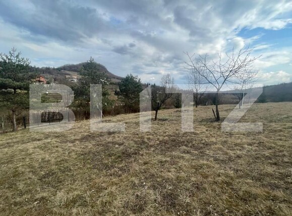 Teren de vânzare Exterior Nord - 143542TV | BLITZ Bistriţa | Poza6