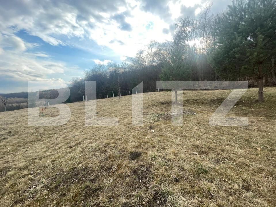 Teren de vânzare Exterior Nord - 143542TV | BLITZ Bistriţa | Poza2