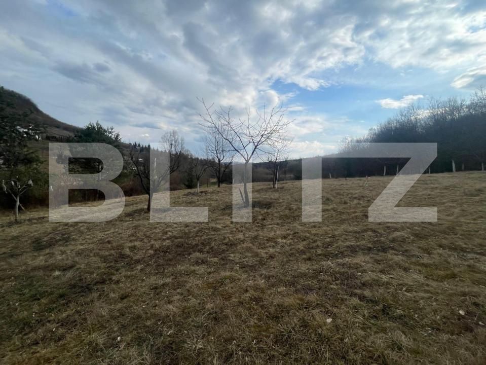 Teren de vânzare Exterior Nord - 143542TV | BLITZ Bistriţa | Poza5