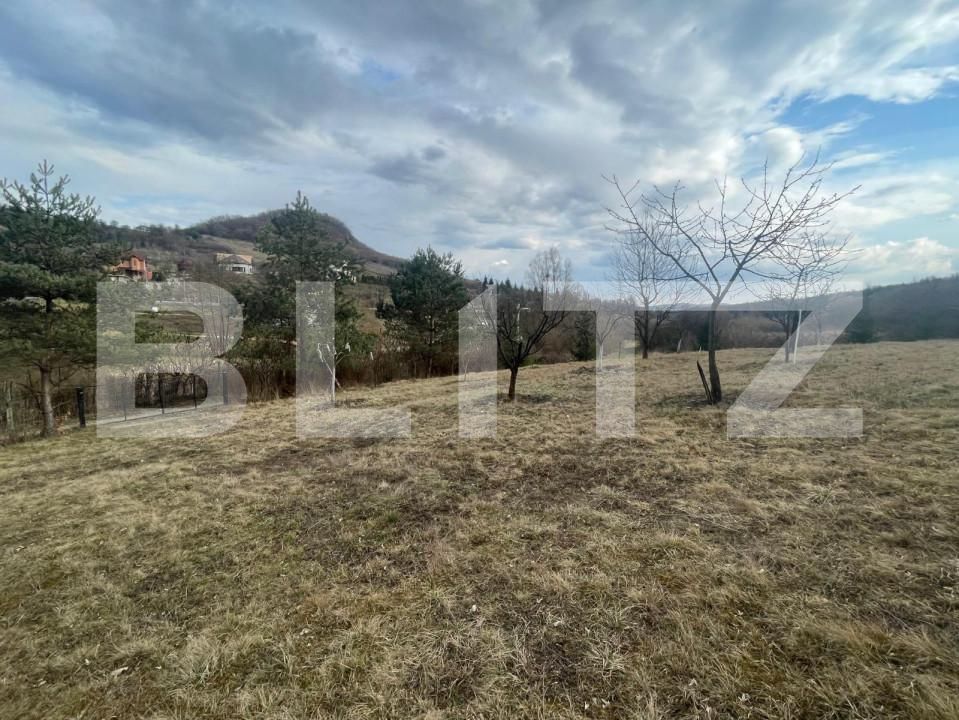Teren de vânzare Exterior Nord - 143542TV | BLITZ Bistriţa | Poza6