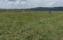 Teren de vânzare Cetății - 175521TV | BLITZ Bistriţa | Poza2