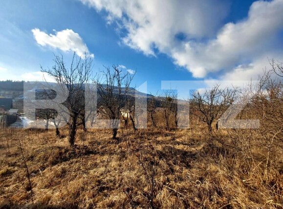 Teren de vânzare Exterior Nord - 143553TV | BLITZ Bistriţa | Poza1