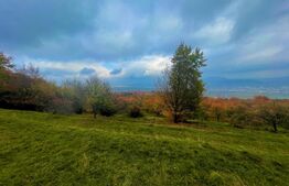 Teren de vânzare – Subcetate, zona Livadă