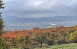 Teren de vânzare – Subcetate, zona Livadă