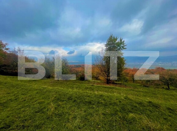 Teren de vânzare Centura - 143554TV | BLITZ Bistriţa | Poza1