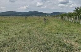 Teren De Vanzare Sesul Jelni, 5 Hectare