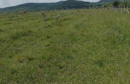 Teren De Vanzare Sesul Jelni, 5 Hectare