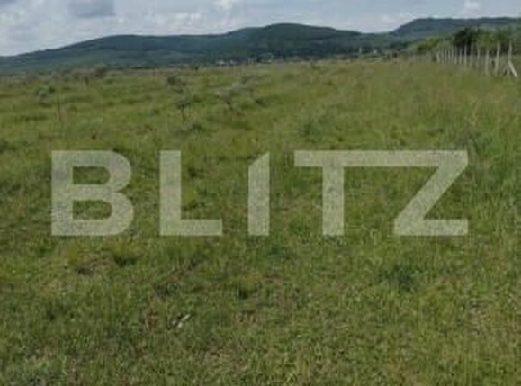 Teren de vânzare Est - 143559TV | BLITZ Bistriţa | Poza1
