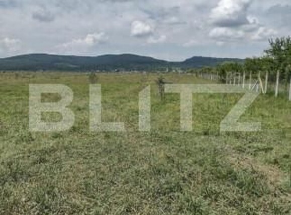 Teren de vânzare Est - 143559TV | BLITZ Bistriţa | Poza2