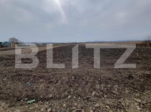 Teren de vânzare Est - 143560TV | BLITZ Bistriţa | Poza1