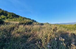 Teren de vanzare 30 Ari