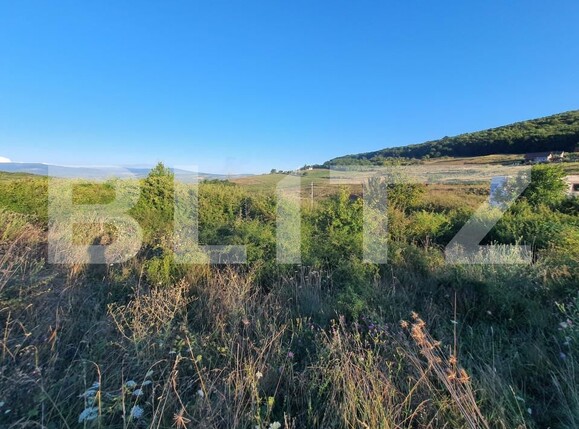 Teren de vânzare Est - 143562TV | BLITZ Bistriţa | Poza1