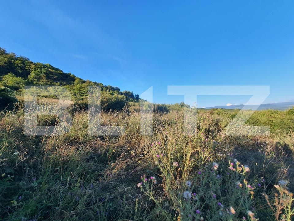 Teren de vânzare Est - 143562TV | BLITZ Bistriţa | Poza2