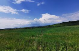 Teren, 58 de ari, zona Dorolea