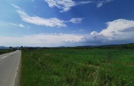 Teren, 58 de ari, zona Dorolea