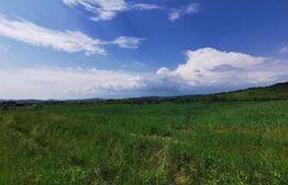 Teren, 58 de ari, zona Dorolea