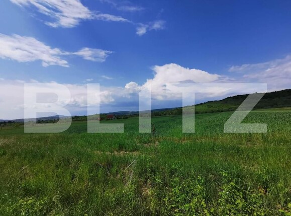 Teren de vânzare Periferie - 143569TV | BLITZ Bistriţa | Poza2