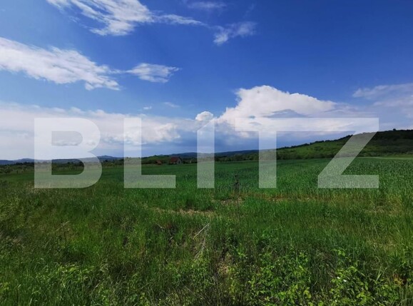Teren de vânzare Periferie - 143569TV | BLITZ Bistriţa | Poza3