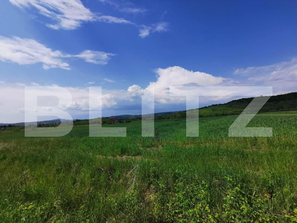 Teren de vânzare Periferie - 143569TV | BLITZ Bistriţa | Poza2