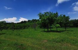 Teren, aproximativ 1 ha, in apropiere de Bistrita