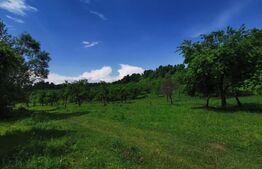 Teren, aproximativ 1 ha, in apropiere de Bistrita