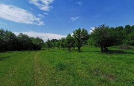 Teren, aproximativ 1 ha, in apropiere de Bistrita