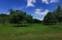 Teren, aproximativ 1 ha, in apropiere de Bistrita