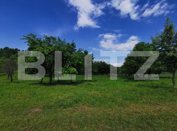 Teren de vânzare Periferie - 143570TV | BLITZ Bistriţa | Poza1