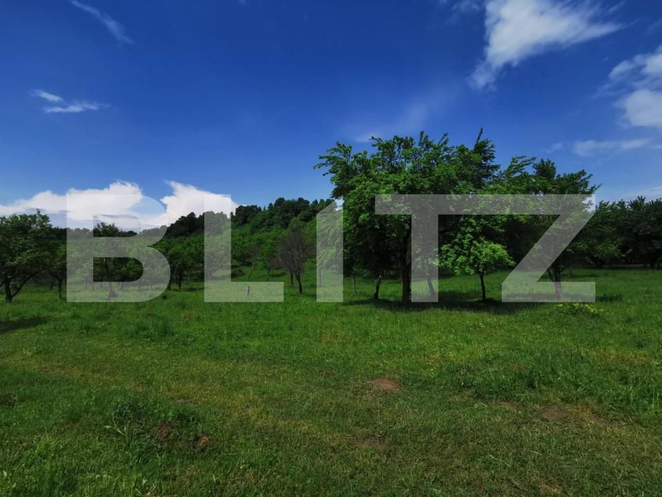 Teren de vânzare Periferie - 143570TV | BLITZ Bistriţa | Poza4