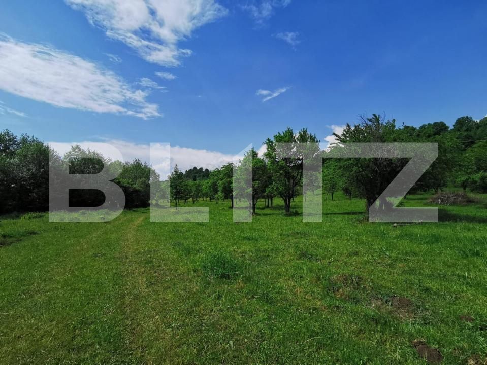 Teren de vânzare Periferie - 143570TV | BLITZ Bistriţa | Poza2