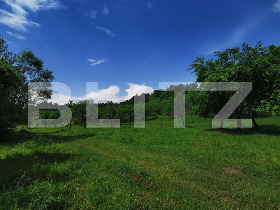 Teren de vânzare Periferie - 143570TV | BLITZ Bistriţa | Poza3